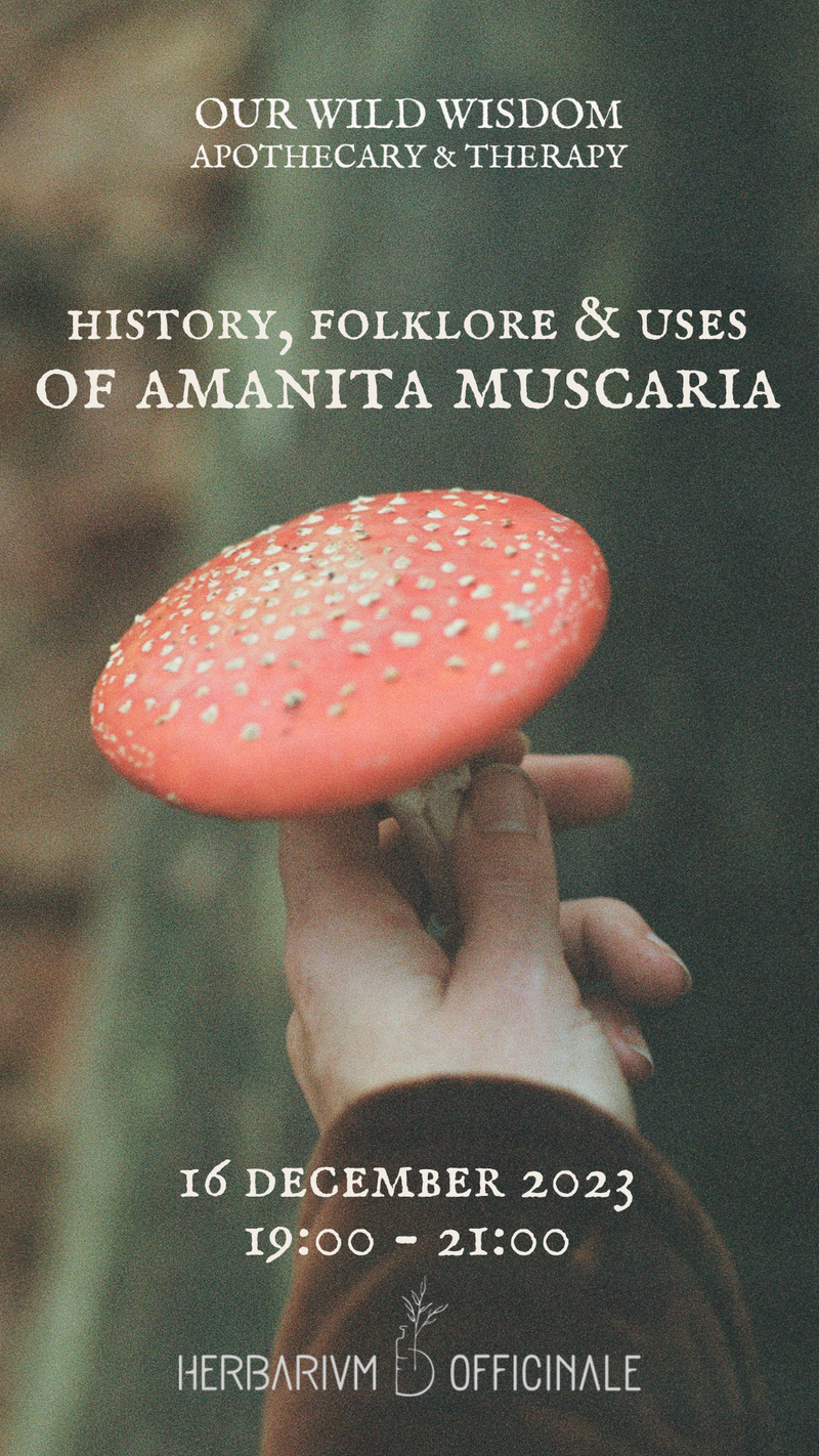 History // Folklore // Use of Amanita Muscaria/Fliegenpilz