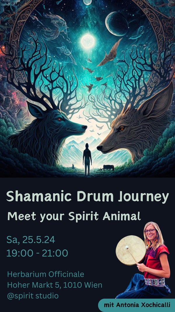 Shamanic Drum Journey // Meet your spirit animal