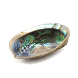 Abalone Incense Bowl